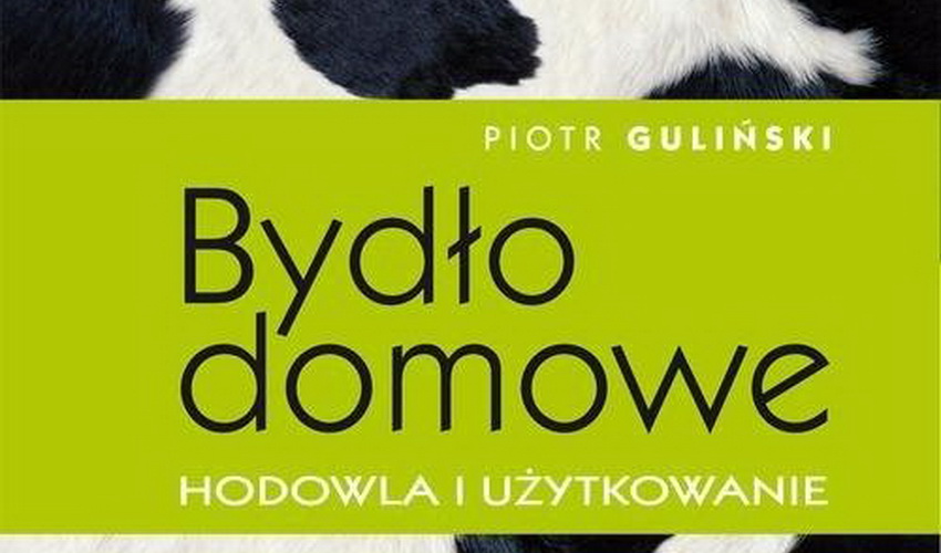 Profesor Piotr Guliński laureatem Nagrody Ministra Nauki i Szkolnictwa Wyższego - zdjęcie